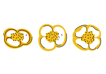 Flat vector of a yellow bell pepper slice with seeds, ideal for food related designs