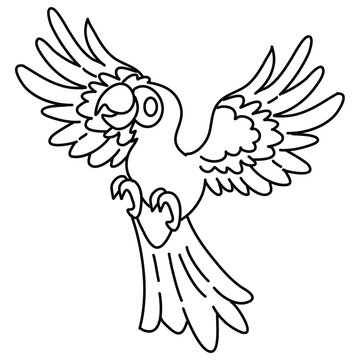 recommend clip art: Cockatoo parrot line contour for coloring book