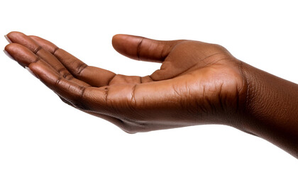 hand of the person png