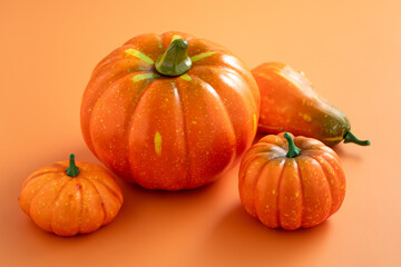 Harvest and autumn Halloween, thanksgiving design concept with pumpkin.