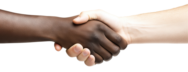 Firm interracial handshake, isolated on transparent cutout background