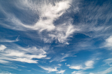 A beautiful shot of a field with blue sky, cirrus clouds