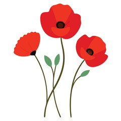 Obraz premium A vibrant red poppy flowers vector illustration on a white background. This elegant and detailed design is perfect for floral-themed art, prints, cards, or decoration projects.