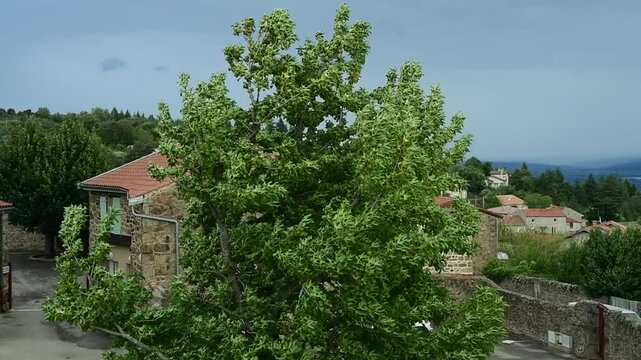 Storm Aitor in France in the Pilat Regional Natural Park, Loire.
Strong winds and thunderstorms.