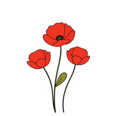 A vibrant red poppy flowers vector illustration on a white background. This elegant and detailed design is perfect for floral-themed art, prints, cards, or decoration projects.