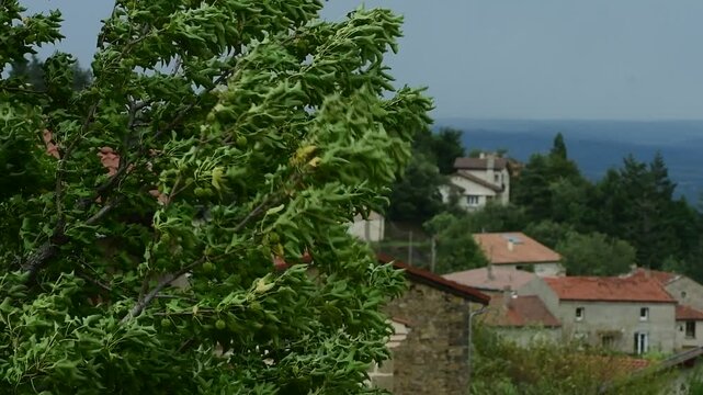 Storm Aitor in France in the Pilat Regional Natural Park, Loire.
Strong winds and thunderstorms.