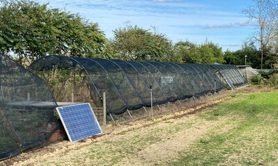solar panels in the field