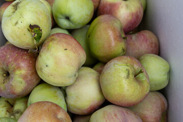 Äpfel in der Box