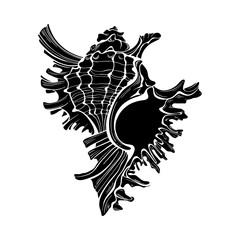 Shell. Black silhouette. Unique hand drawn vector illustration,  isolated  element on white background. Perfect for decoration, invitation, card, menu, print, poster and as a design element.