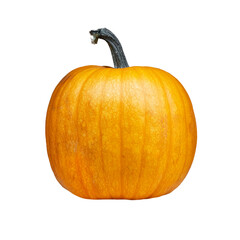 Pumpkin isolate on a white background.