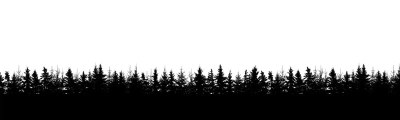 Forest background, beautiful landscape wallpaper. Silhouettes of fir trees. Vector illustration
