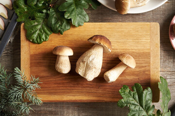 Fresh wild king bolete mushrooms on a table, top view