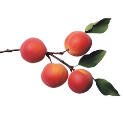 Fresh peach fruit PNG cutout isolated on white and transparent background.