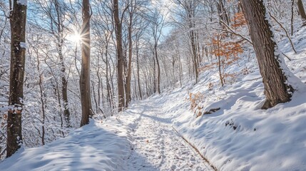 Scenic winter hike through snowy trail. Snowy winter hiking trail through a forest in the mountains