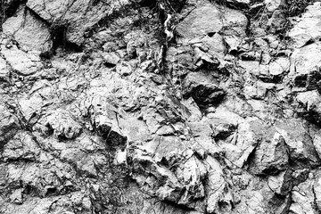 Black and White Stone wall in the nature of South Tyrol