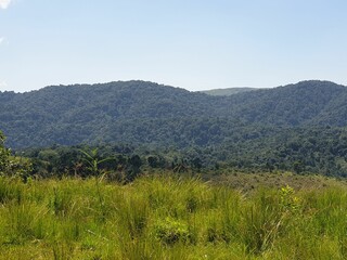 Obraz premium landscape in the summer