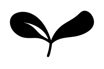 Graceful Fiddle Leaf Fig with Curved Leaves Minimalist Vector Illustration
