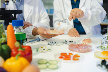 Team Microbiologists Analyzing Molecular Samples in Advanced Food Science Laboratory, Dietitian food and medicine.