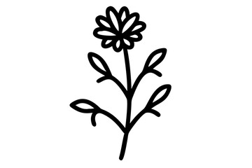 Tall Slender Wildflower Vector Artwork Capturing Nature's Grace and Beauty
