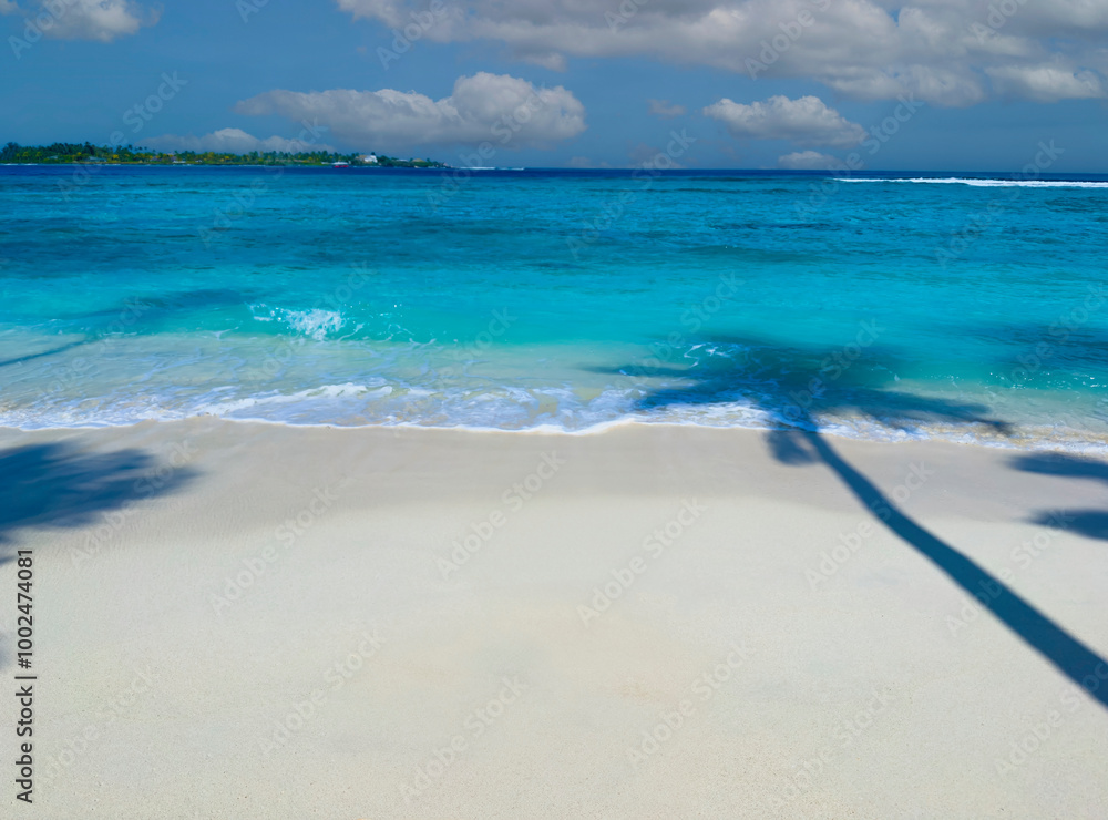 Wall mural the tropical white sand beach with aqua waves and coconut palm tree as shadow on blue background.