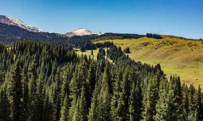 Obraz premium landscape in the mountains