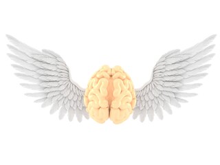 Brain with angel wings