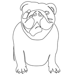 One continuous single drawing line art doodle pet, dog, cute, one, animal, canine, bulldog. Isolated flat illustration hand draw contour on a white background
