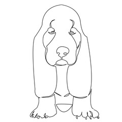 One continuous single drawing line art doodle animal, pet, dog, dog basset hound, doggy. Isolated flat illustration hand draw contour on a white background
