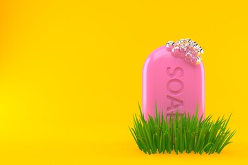 Bar of soap on grass
