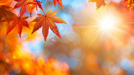 Bright autumn leaves glimmer under the sun in a vibrant forest during fall season