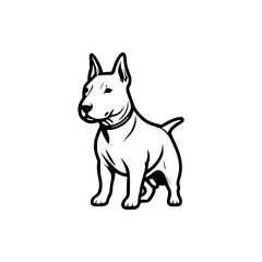 Bull Terrier Dog