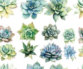 Succulents Watercolor Pattern.