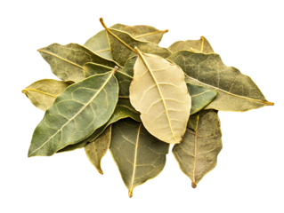 a pile of green and brown leaves