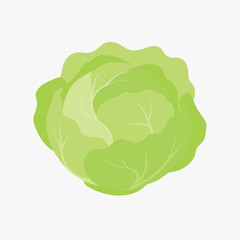 Cabbage Icon Flat Isolated Vector  Pro Vector Vegetable Illustration for Digital Download