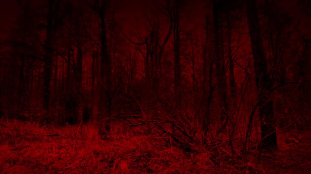 Moving Through Scary Red Forest
