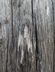 Wooden texture old rustic