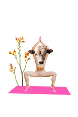 Collage image 3d artwork sketch of sporty person girl cow head instead face relax outside training...