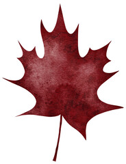 Watercolour autumn leaf. Bright watercolour leaf for web, greeting cards, wallpapers, decor and other.