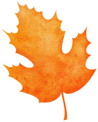 Watercolour autumn leaf. Bright watercolour leaf for web, greeting cards, wallpapers, decor and other.