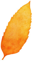 Watercolour autumn leaf. Bright watercolour leaf for web, greeting cards, wallpapers, decor and other.