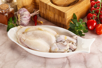Raw fresh cuttlefish for cooking