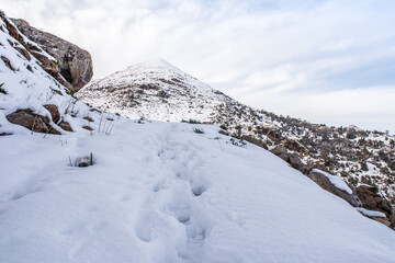 algeria, snow, white, snow algeria, algeria winter, winter, algerian, mountain, landscape, snow...