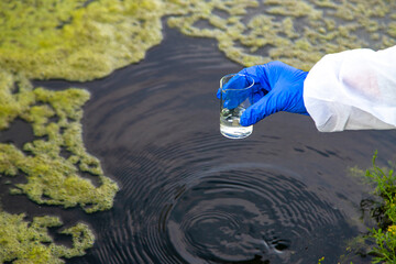 Take a water sample from the river. Selective focus.