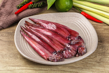 Raw fresh squids for cooking
