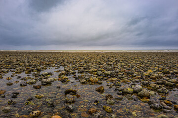 La plage de galets à Criel-sur-Mer