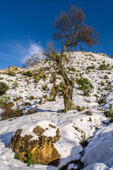 algeria, snow, white, snow algeria, algeria winter, winter, algerian, mountain, landscape, snow...