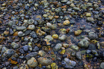 La plage de galets à Criel-sur-Mer