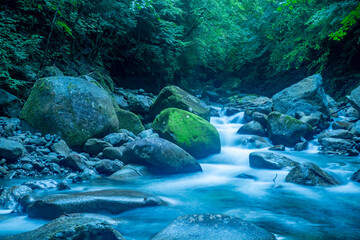 日本の山梨県にある西沢渓谷
