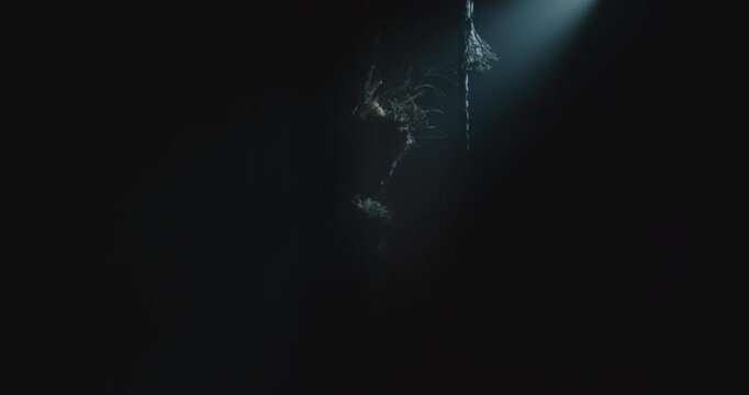 The witch makes a beckoning gesture with her hand