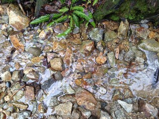 rocks in river